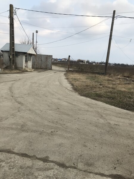 Cernica, sat Balaceanca,