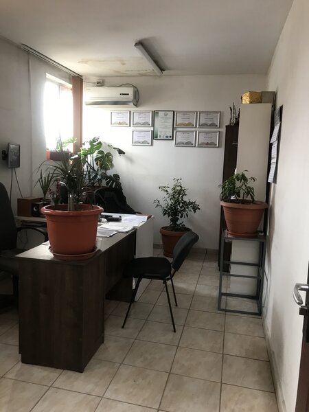 Cernica, sat Balaceanca,