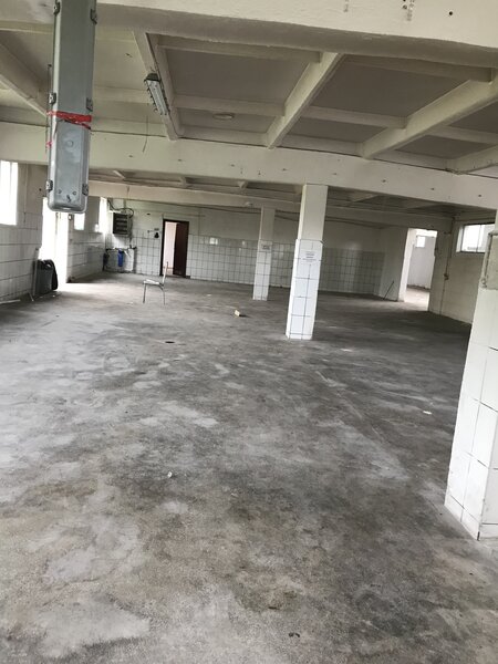 Cernica, sat Balaceanca,