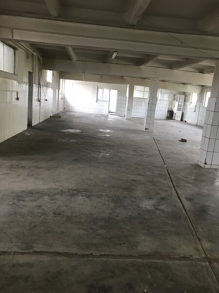 Cernica, sat Balaceanca,