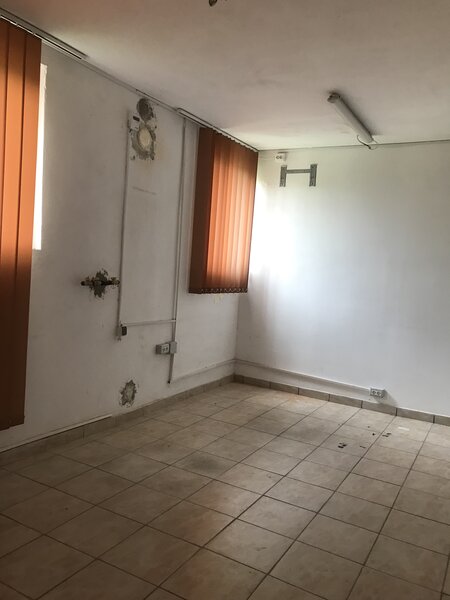 Cernica, sat Balaceanca,